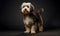 AI generated illustration of a havanese dog on a dark background