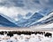 AI generated illustration of a herd of bison (buffalo) graze a high mountain valley