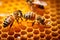 AI generated illustration of honeybees perched on a honeycomb