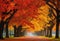 AI generated illustration of an idyllic pathway through a park with stunning autumn foliage