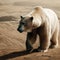 AI generated illustration of A large white polar bear is seen walking across a sandy plain