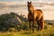 AI generated illustration of a lone horse in a mountainous field