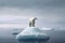 AI generated illustration of a lone polar bear standing on a shrinking iceberg in a vast ocean