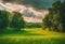 AI generated illustration of a lush, verdant field surrounded by tall trees on a cloudy day