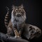 AI generated illustration of a Maine Coon cat sitting on a log on the black background