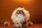 AI generated illustration of a Maine coon domestic cat perched against an orange background