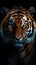 AI generated illustration of a majestic Bengal tiger in an intense and alert pose in a dark setting