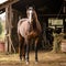 AI generated illustration of a majestic brown horse standing in a stable with hay bales