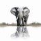 AI generated illustration of a majestic elephant near a tranquil lake, admiring its own reflection