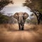 AI generated illustration of a majestic elephant walking on a vast dirt road, surrounded by trees