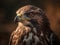 AI generated illustration of a majestic hawk on a blurred background