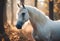 AI generated illustration of A majestic horse gallops through a picturesque forest trail