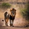 AI generated illustration of a majestic lion strolling down a rugged dirt road in the wilderness