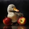 AI-generated illustration of A majestic mallard duck stands with two ripe apples
