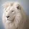 AI generated illustration of a majestic white lion against a white background