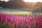 AI generated illustration of a meadow full of colorful wildflowers basking in the warm sunlight