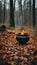 AI generated illustration of an old black kettle with a burning fire in a serene autumnal forest