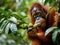 AI generated illustration of an orangutan perched on a green tree, eating figs