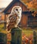 AI generated illustration of an owl perched on a wooden post in autumn