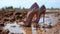 AI generated illustration of a pair of high heels submerged in a murky puddle of muddy water