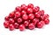 AI-generated illustration of a pile of fresh cranberries isolated on a white background