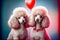 AI generated illustration of poodle dogs in love