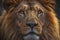 AI generated illustration of a portrait of a majestic lion