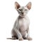 AI generated illustration of a portrait of a sphynx cat isolated against a white background