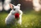 AI generated illustration of a rabbit delightfully munching on a vibrant red rose amid green grass