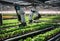 AI generated illustration of a robot amidst a field of lush vegetation in an industrial greenhouse