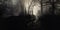 AI generated illustration of a scenic view of a winding dark forest road shrouded in fog