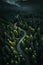 AI generated illustration of a scenic view of a winding rural road passing through a dense forest
