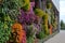 AI generated illustration of a sidewalk amidst a vibrant array of colorful flowers adorning a wall