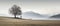 AI generated illustration of a single, solitary tree alone on a grassy alpine meadow