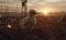 AI generated illustration of a small chicken perched on a cage during a picturesque sunset