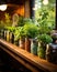 AI generated illustration of sn array of fresh herbs in jars placed on a wooden shelf
