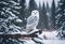 AI-generated illustration of a snowy owl perched on a snow-dusted tree branch