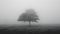 AI generated illustration of a solitary tree in misty field