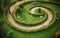 AI generated illustration of a spiral wooden walkway in a green park