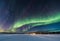 AI generated illustration of a stunning aurora lights up the night sky above the Arctic landscape