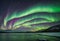 AI generated illustration of a stunning aurora lights up the night sky above the Arctic landscape