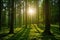 AI generated illustration of sun rays streaming through trees in a picturesque forest