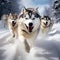 AI generated illustration of a team of huskies through the snow-covered landscape