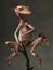 AI generated illustration of a tiny frog perched on a twig