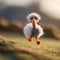 AI generated illustration of a tiny knitted ostrich running outside