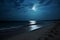 AI generated illustration of A tranquil beachscape featuring a full moon