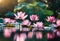 AI generated illustration of a tranquil scene with a cluster of vibrant pink lotus flowers