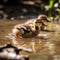 AI generated illustration of two ducklings swimming in a tranquil lake near the shore