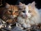 AI generated illustration of two felines cuddling up close on a soft blanket