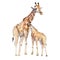 AI generated illustration of two giraffes in a close embrace, standing side-by-side